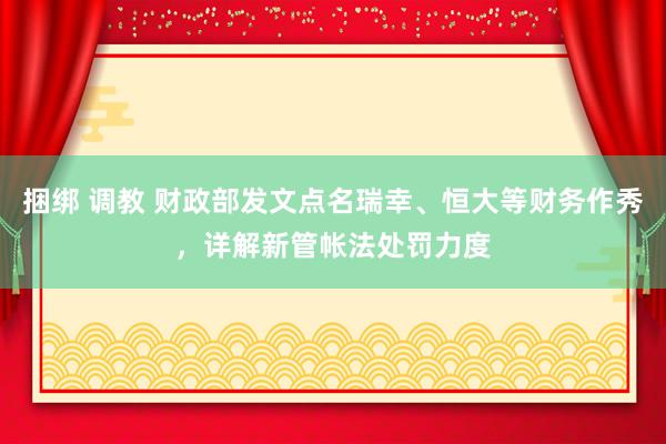 捆绑 调教 财政部发文点名瑞幸、恒大等财务作秀，详解新管帐法处罚力度