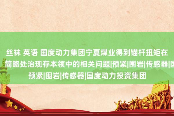 丝袜 英语 国度动力集团宁夏煤业得到锚杆扭矩在线监测成立专利，简略处治现存本领中的相关问题|预紧|围岩|传感器|国度动力投资集团