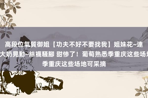 高段位氣質御姐【功夫不好不要找我】姐妹花~連體絲襪~大奶晃動~絲襪騷腳 甜惨了!葡萄熟悉季重庆这些场地可采摘