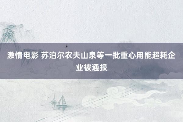 激情电影 苏泊尔农夫山泉等一批重心用能超耗企业被通报