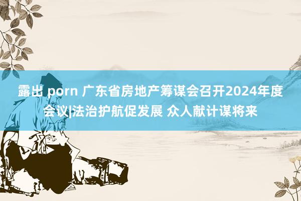 露出 porn 广东省房地产筹谋会召开2024年度会议|法治护航促发展 众人献计谋将来
