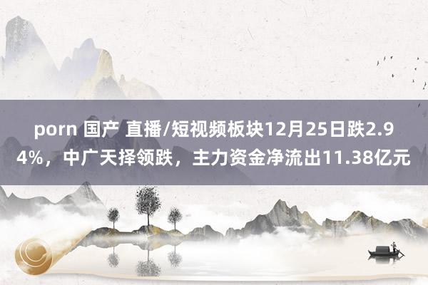 porn 国产 直播/短视频板块12月25日跌2.94%，中广天择领跌，主力资金净流出11.38亿元