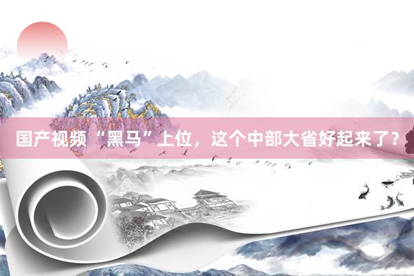 国产视频 “黑马”上位,这个中部大省好起来了?