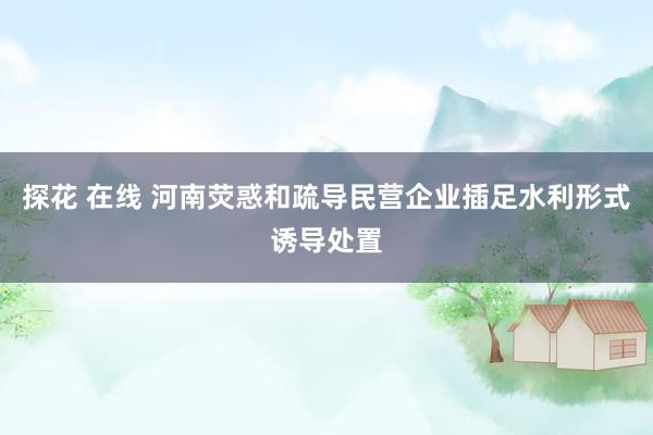探花 在线 河南荧惑和疏导民营企业插足水利形式诱导处置