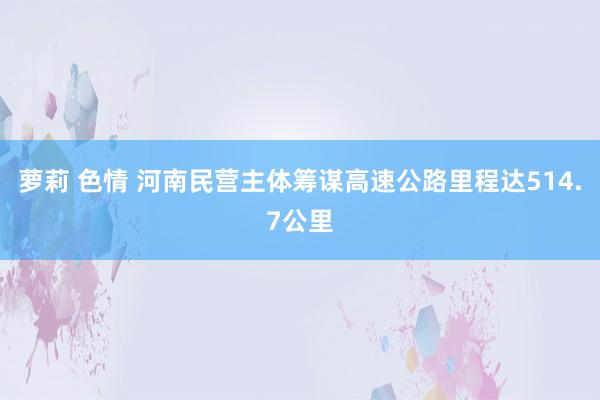 萝莉 色情 河南民营主体筹谋高速公路里程达514.7公里