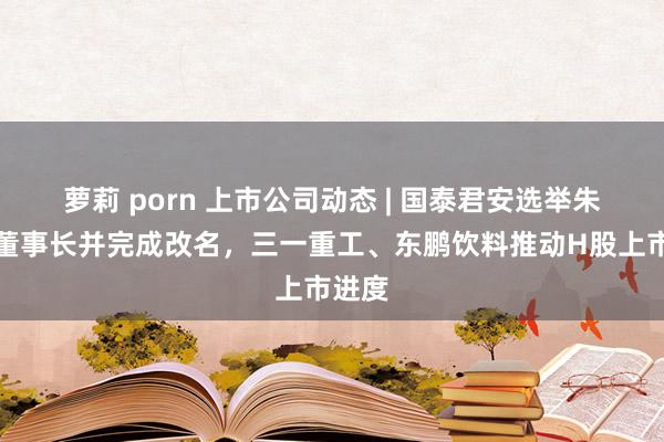 萝莉 porn 上市公司动态 | 国泰君安选举朱健为董事长并完成改名，三一重工、东鹏饮料推动H股上市进度